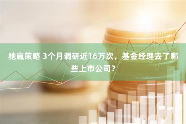 驰赢策略 3个月调研近16万次，基金经理去了哪些上市公司？