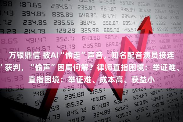 万银鼎信 被AI“偷走”声音,知名配音演员接连维权!AI“换脸”获判,“偷声”困局何解?律师直指困境:举证难、成本高、获益小