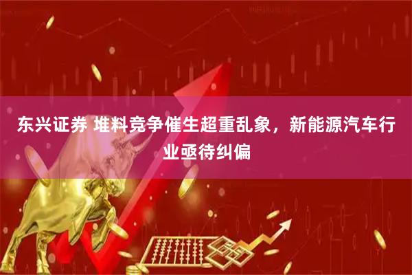 东兴证券 堆料竞争催生超重乱象，新能源汽车行业亟待纠偏